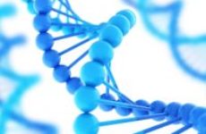 Как проводится анализ ДНК на определение отцовства?