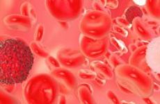Норма и причины повышения лейкоцитов в крови при беременности