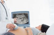Вредно ли для плода при беременности проведение УЗИ?