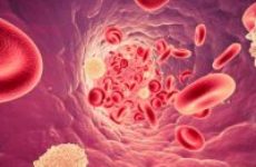 Лимфоциты повышены, лейкоциты понижены – что это значит?