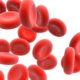 В анализе крови увеличенные лимфоциты