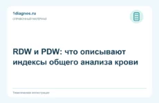 RDW и PDW: что описывают индексы общего анализа крови