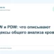 RDW и PDW: что описывают индексы общего анализа крови
