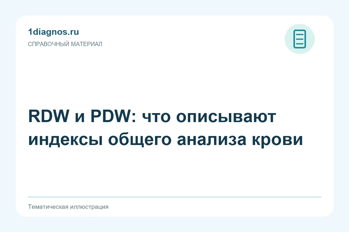 RDW и PDW: что описывают индексы общего анализа крови — тематическая иллюстрация