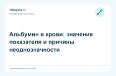Альбумин в крови: значение показателя и причины неоднозначности