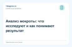 Анализ мокроты: что исследуют и как понимают результат