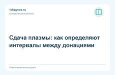 Сдача плазмы: как определяют интервалы между донациями