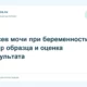 Посев мочи при беременности: сбор образца и оценка результата