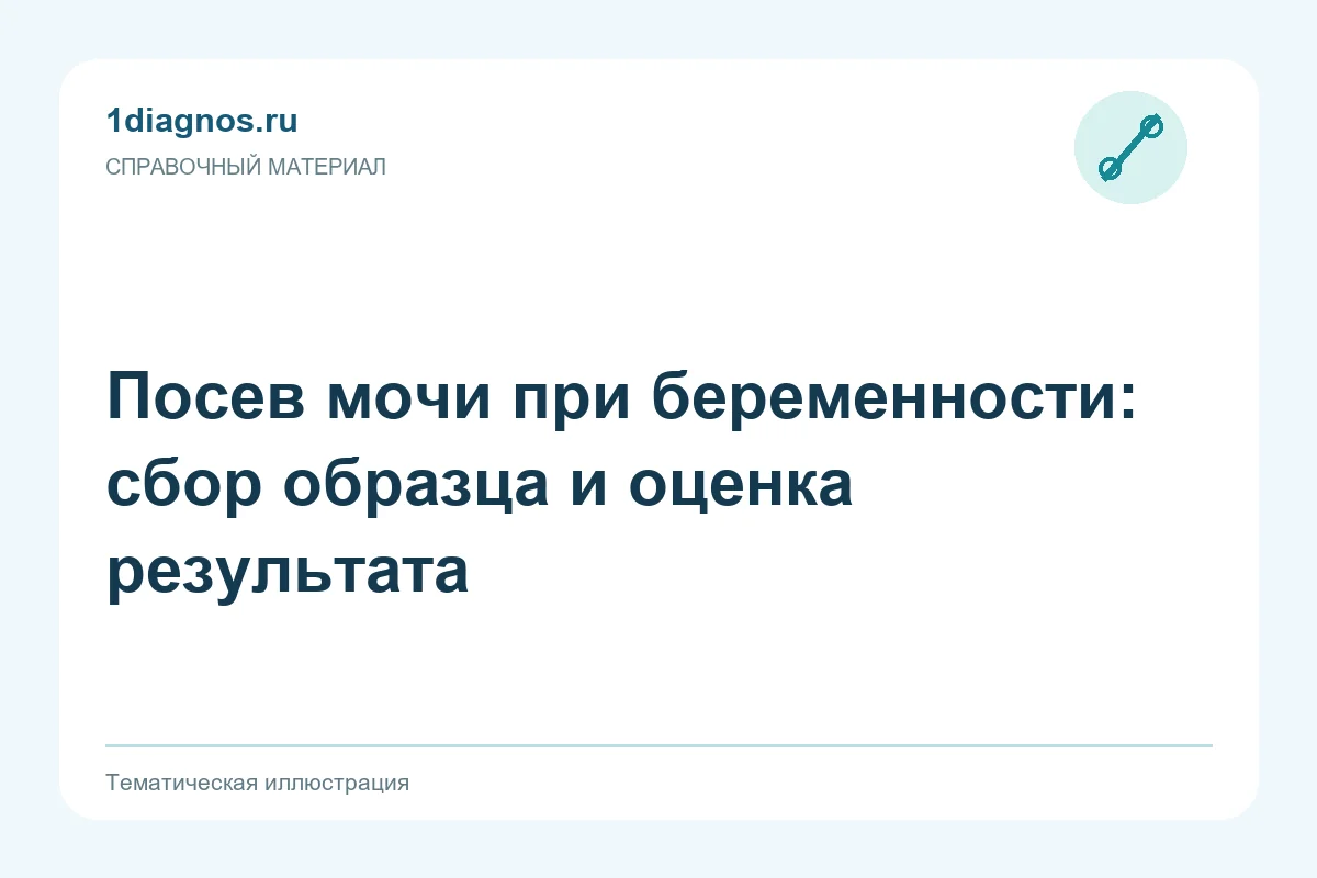 Посев мочи при беременности: сбор образца и оценка результата — тематическая иллюстрация