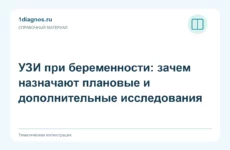 УЗИ при беременности: зачем назначают плановые и дополнительные исследования
