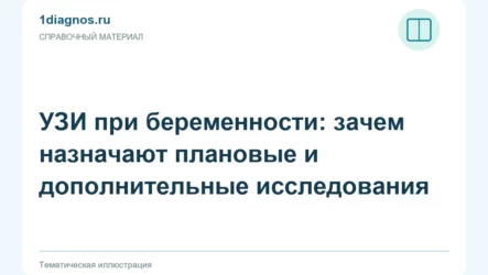 УЗИ при беременности: зачем назначают плановые и дополнительные исследования