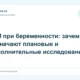 УЗИ при беременности: зачем назначают плановые и дополнительные исследования