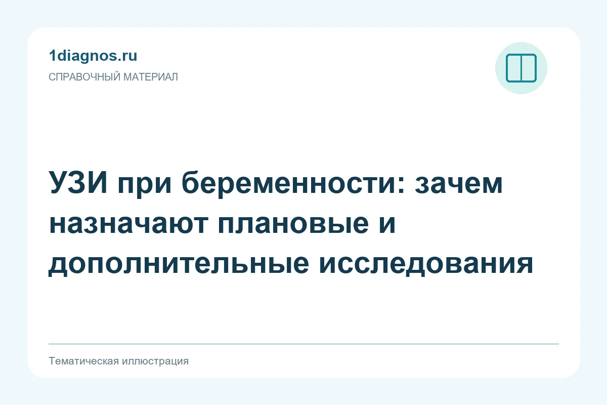 УЗИ при беременности: зачем назначают плановые и дополнительные исследования — тематическая иллюстрация