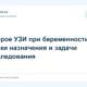 Второе УЗИ при беременности: сроки назначения и задачи обследования