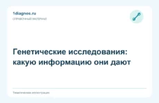 Генетические исследования: какую информацию они дают