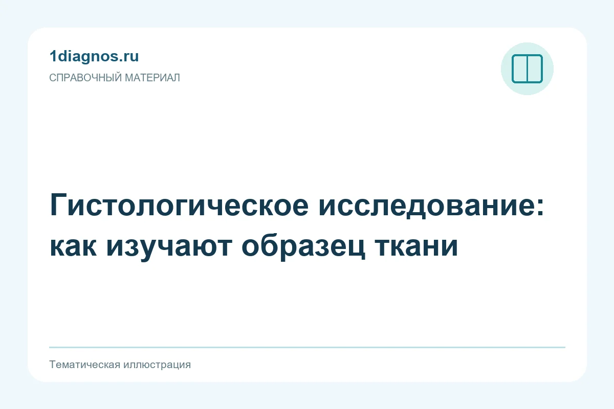 Гистологическое исследование: как изучают образец ткани — тематическая иллюстрация