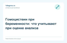 Гомоцистеин при беременности: что учитывают при оценке анализа