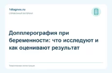 Допплерография при беременности: что исследуют и как оценивают результат