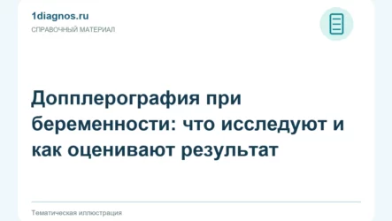 Допплерография при беременности: что исследуют и как оценивают результат