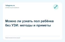 Можно ли узнать пол ребёнка без УЗИ: методы и приметы
