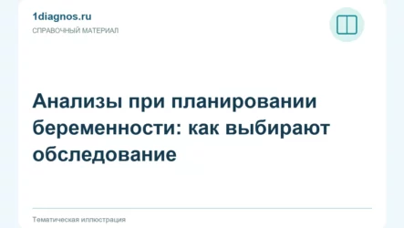 Анализы при планировании беременности: как выбирают обследование
