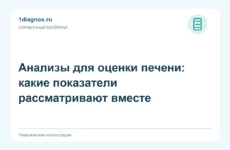 Анализы для оценки печени: какие показатели рассматривают вместе
