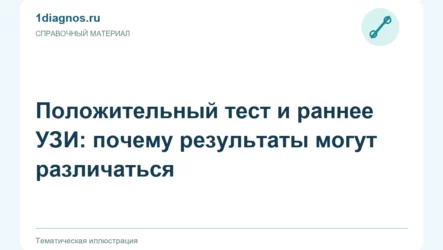 Положительный тест и раннее УЗИ: почему результаты могут различаться