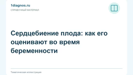 Сердцебиение плода: как его оценивают во время беременности