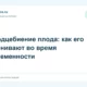 Сердцебиение плода: как его оценивают во время беременности