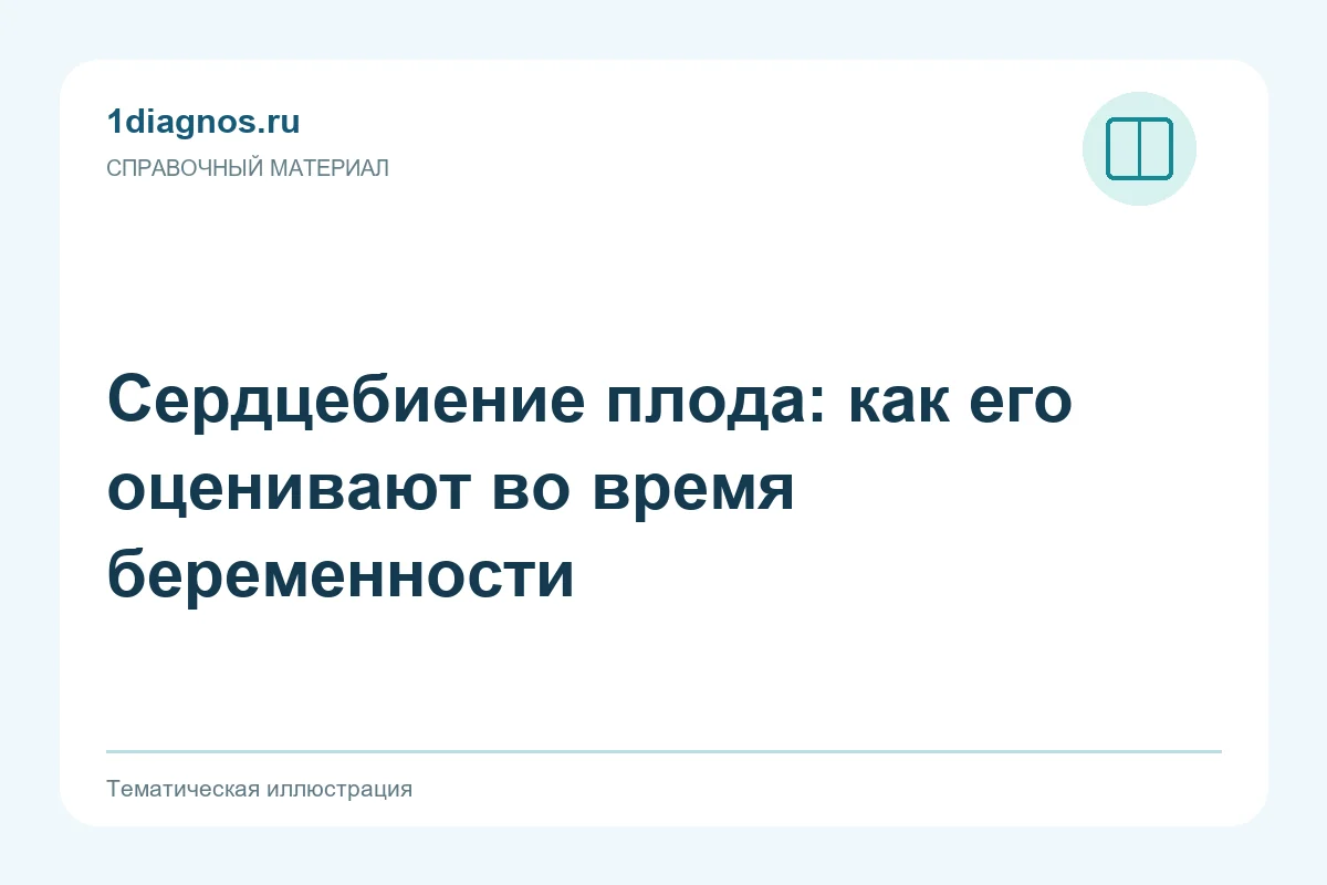 Сердцебиение плода: как его оценивают во время беременности — тематическая иллюстрация