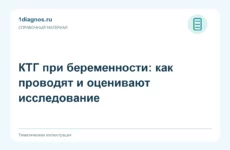 КТГ при беременности: как проводят и оценивают исследование