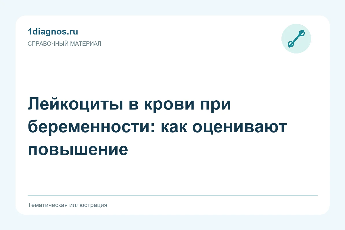 Лейкоциты в крови при беременности: как оценивают повышение — тематическая иллюстрация