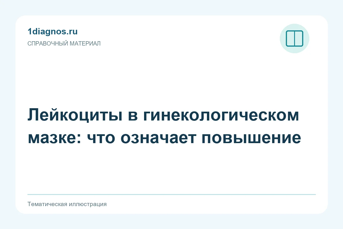 Лейкоциты в гинекологическом мазке: что означает повышение — тематическая иллюстрация