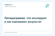 Липидограмма: что исследуют и как оценивают результат