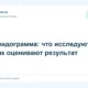 Липидограмма: что исследуют и как оценивают результат