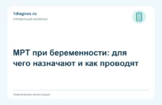 МРТ при беременности: для чего назначают и как проводят