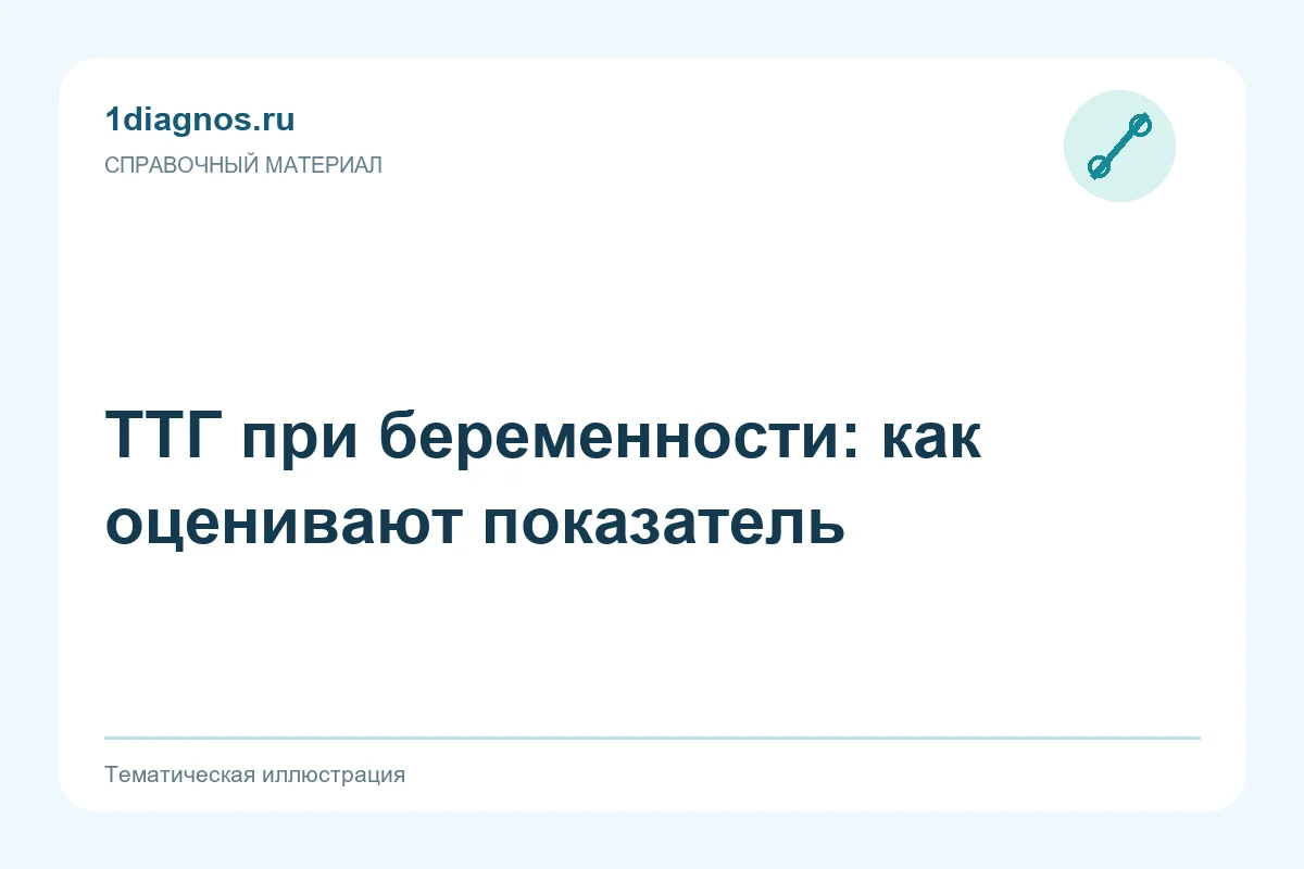 ТТГ при беременности: как оценивают показатель — тематическая иллюстрация