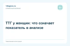 ТТГ у женщин: что означает показатель в анализе