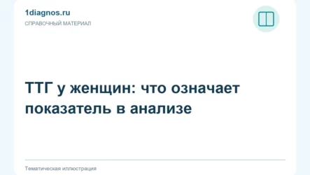 ТТГ у женщин: что означает показатель в анализе