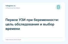 Первое УЗИ при беременности: цель обследования и выбор времени