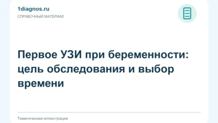 Первое УЗИ при беременности: цель обследования и выбор времени