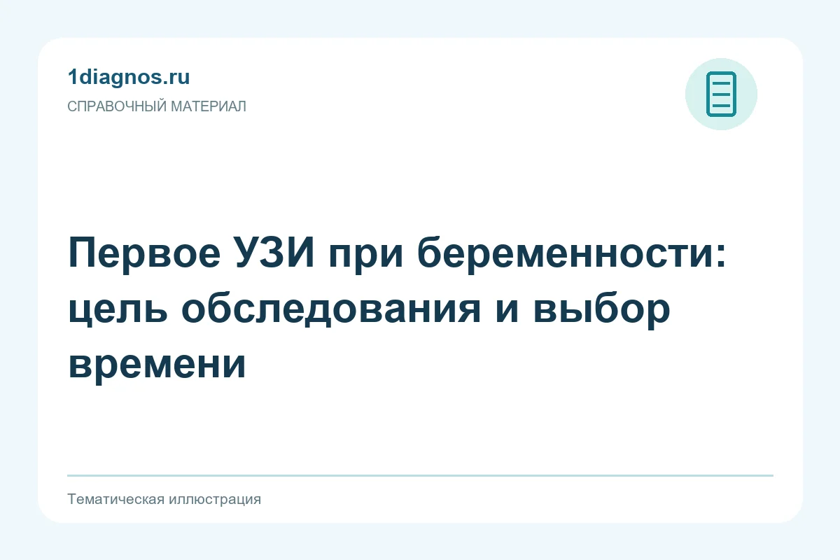 Первое УЗИ при беременности: цель обследования и выбор времени — тематическая иллюстрация