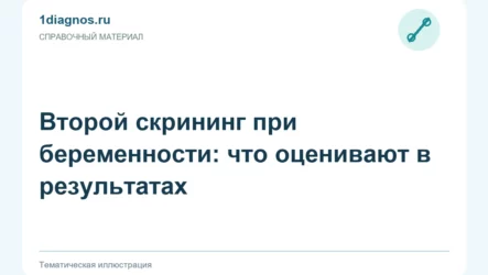 Второй скрининг при беременности: что оценивают в результатах