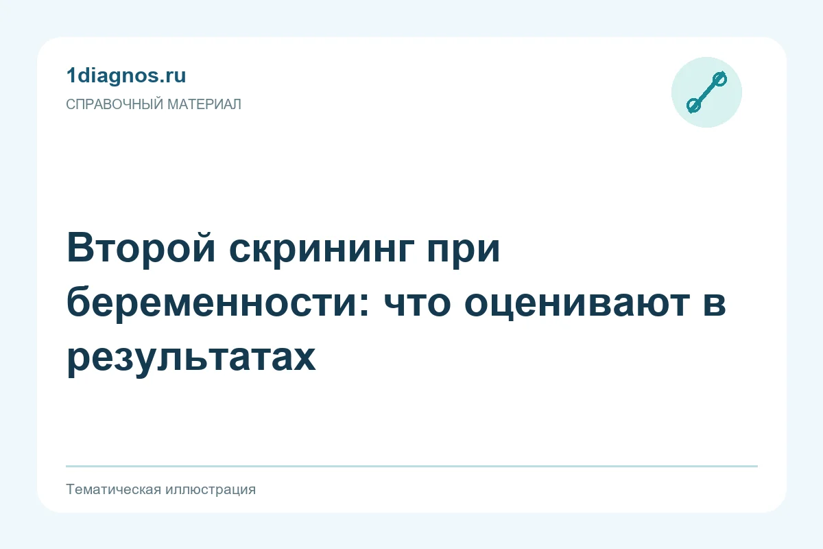 Второй скрининг при беременности: что оценивают в результатах — тематическая иллюстрация