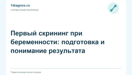 Первый скрининг при беременности: подготовка и понимание результата