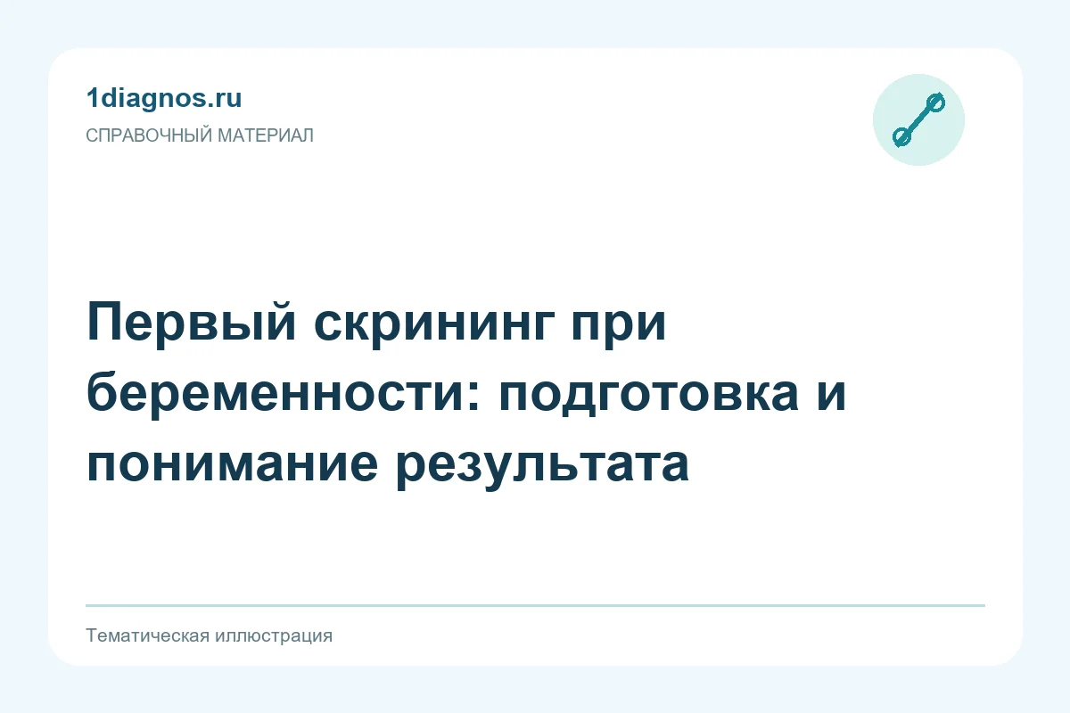Первый скрининг при беременности: подготовка и понимание результата — тематическая иллюстрация