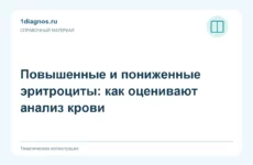 Повышенные и пониженные эритроциты: как оценивают анализ крови