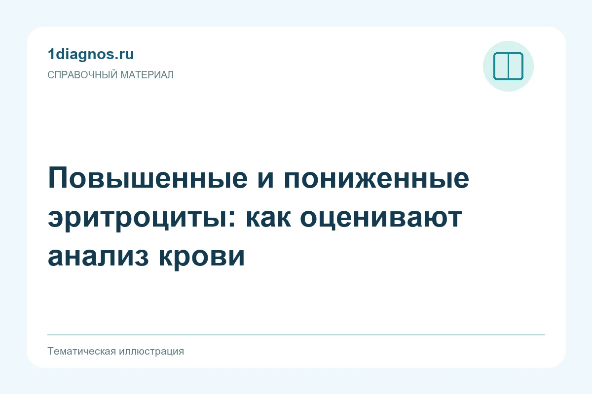 Повышенные и пониженные эритроциты: как оценивают анализ крови — тематическая иллюстрация