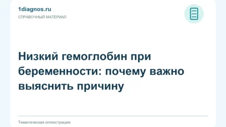 Низкий гемоглобин при беременности: почему важно выяснить причину