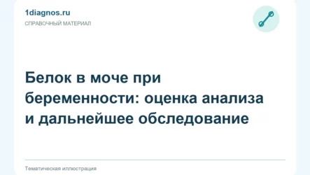 Белок в моче при беременности: оценка анализа и дальнейшее обследование